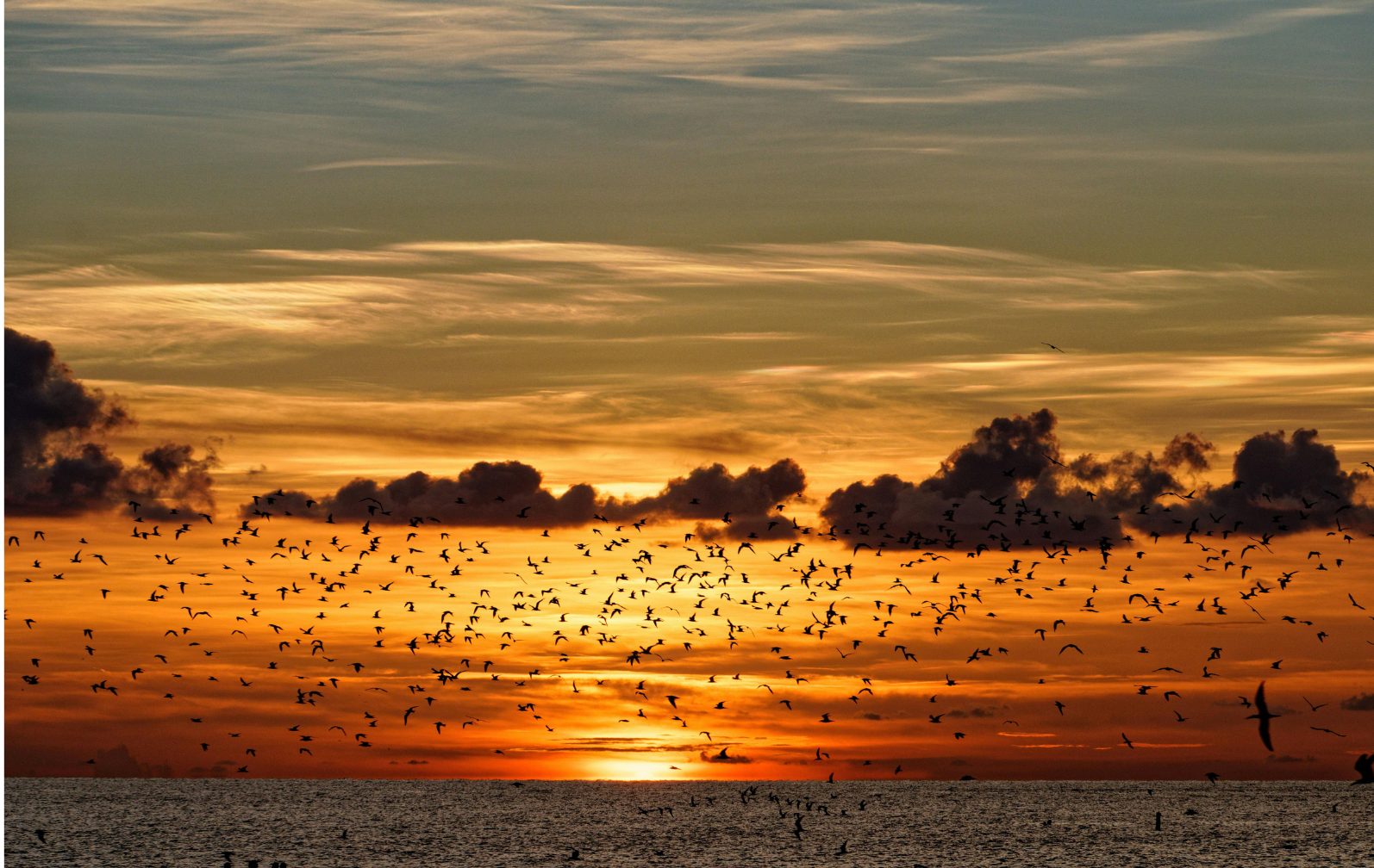 Copy of Add a heading